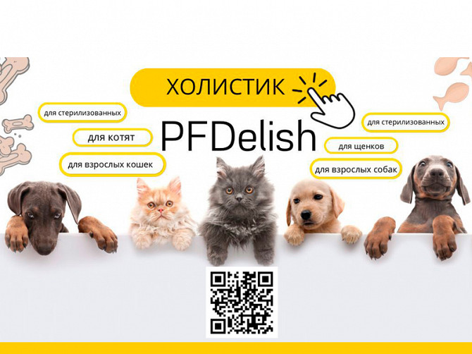 Холистик корма для собак и кошек ТМ PFDelish Калуга - изображение 1