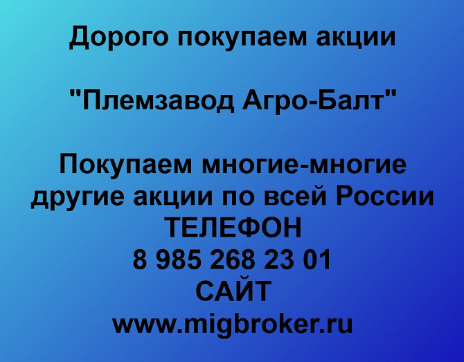 Покупка акций Племзавод Агро Балт Санкт-Петербург - изображение 1