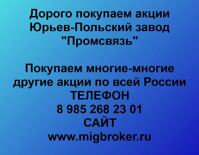 Покупка акций ЮПЗ Промсвязь Юрьев-Польский - изображение 1