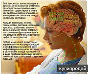 Диагностико-оздоровительная система восстановительной медицины Санкт-Петербург