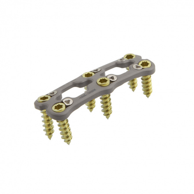 Передняя шейная пластина III Москва - изображение 1