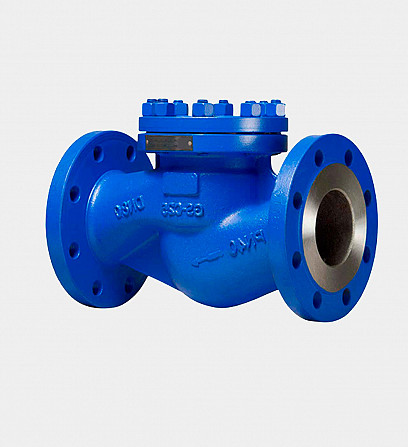 Клапан обратный поворотный 19лс76нж Москва - изображение 1