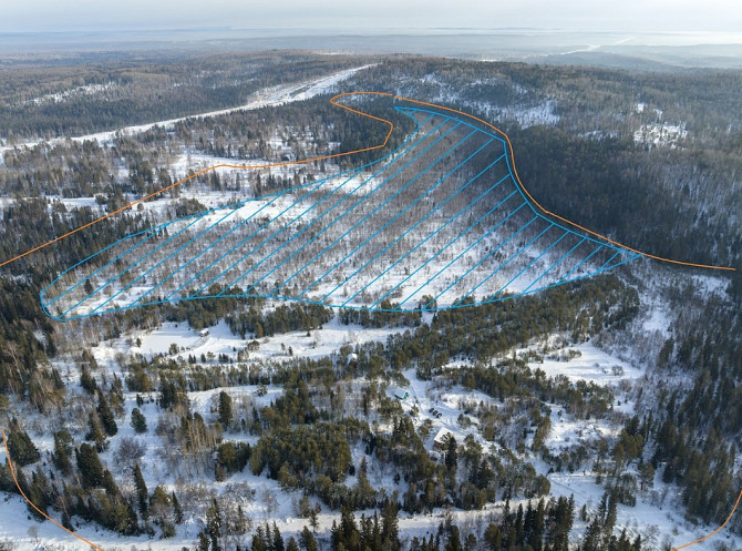 58 Га | Проект частного озера 31 Га | Готовая инфраструктура Красноярск - изображение 1