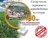 Сахар-песок, зерновые и зернобобовые культуры от Елань-Коленовский СЗ Воронеж