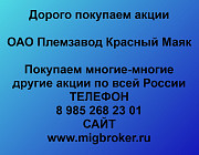 Покупаем акции «Племзавод Красный Маяк» Красноярск