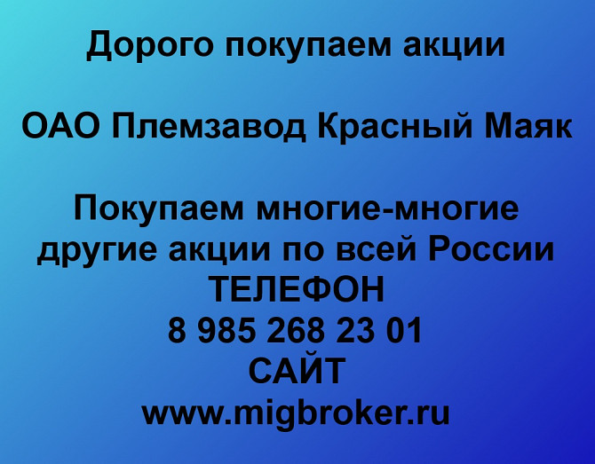 Покупаем акции «Племзавод Красный Маяк» Красноярск - изображение 1