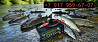 Rich ac 5 Владивосток