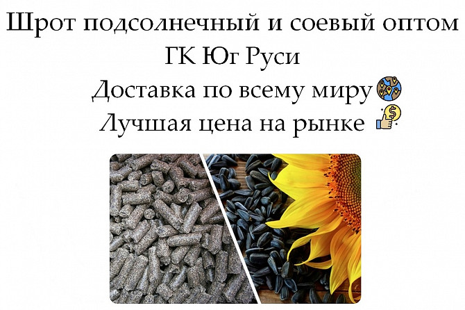Шрот подсолнечный и соевый оптом от производителя ГК Юг Руси Ростов-на-Дону - изображение 1