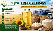 Сельхозпродукция оптом из России - масла, шрот, мука, сахар на экспорт Ростов-на-Дону